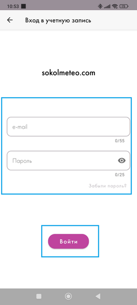 Файл:Окно авторизации сокол (платформа).png