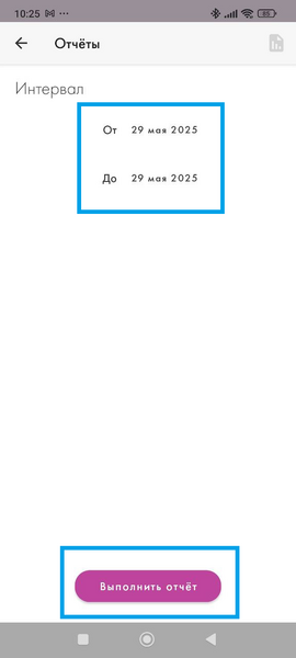 Файл:Отчет выбор даты.png